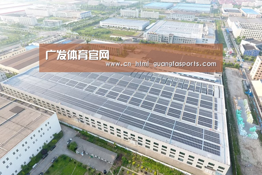 案例展示一