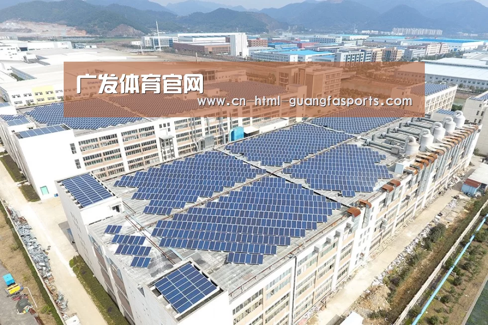 案例展示一