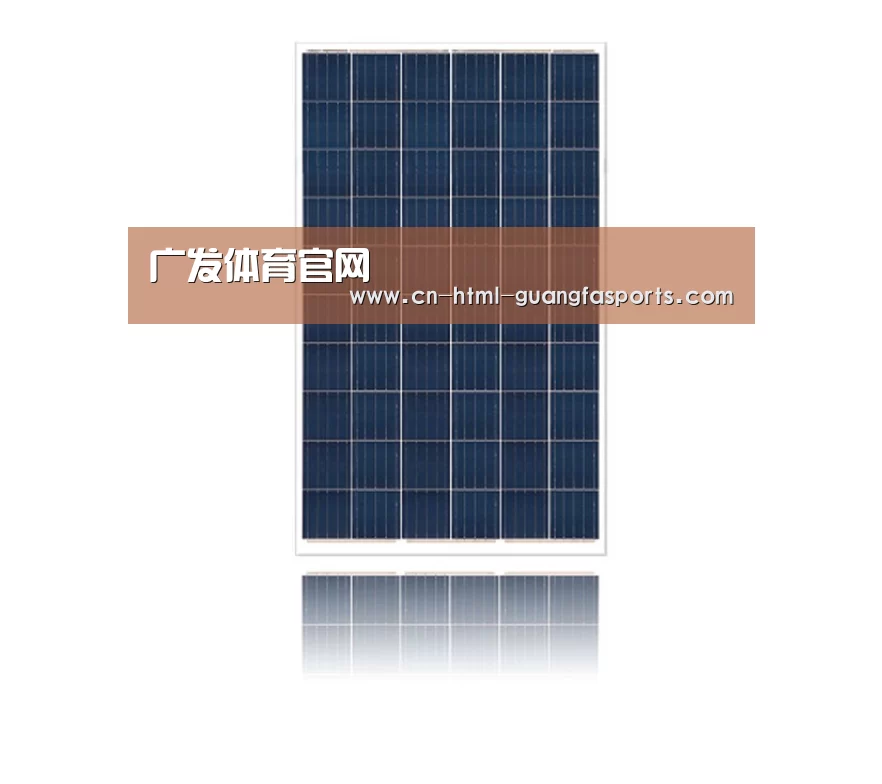 产品名称四