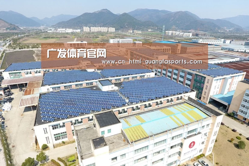 案例展示三