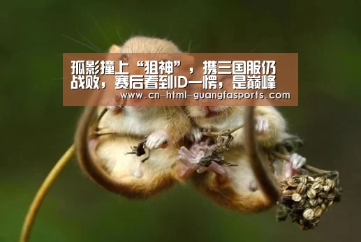 广发体育官网