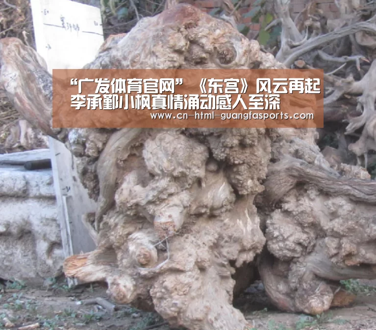 “广发体育官网”《东宫》风云再起 李承鄞小枫真情涌动感人至深(图2) 广发体育