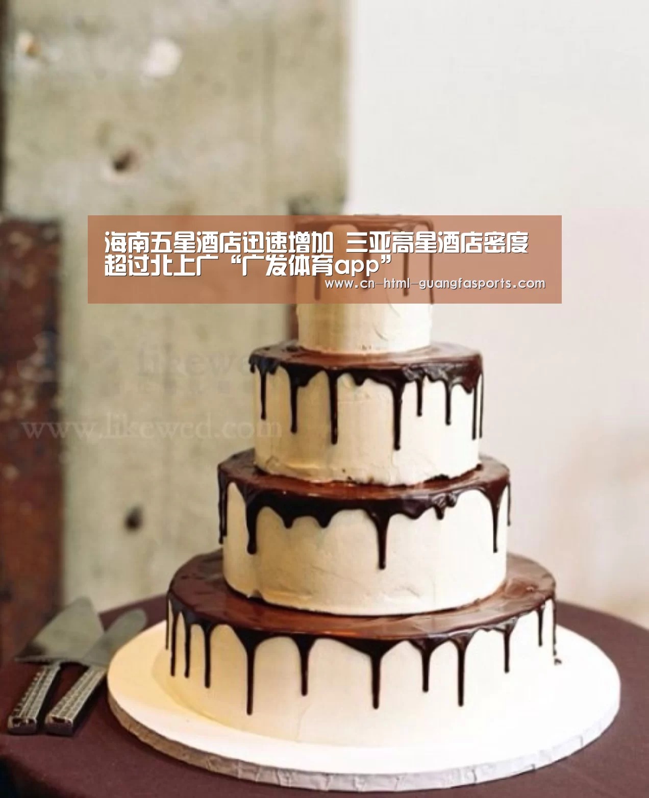 海南五星酒店迅速增加 三亚高星酒店密度超过北上广“广发体育app”(图2) 广发体育app