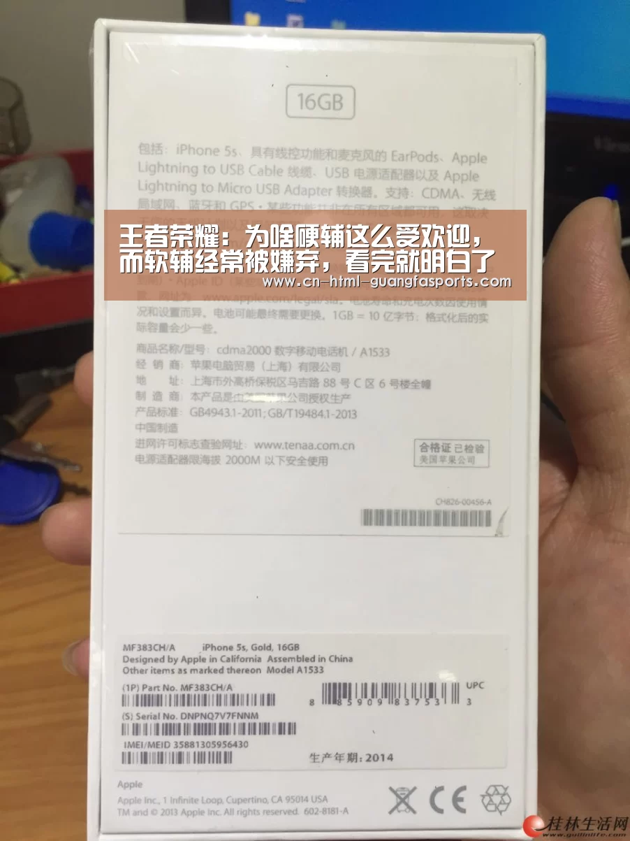 王者荣耀:为啥硬辅这么受欢迎,而软辅经常被嫌弃,看完就明白了-广发体育官网(图2) 广发体育官网
