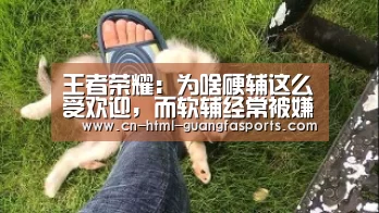 王者荣耀:为啥硬辅这么受欢迎,而软辅经常被嫌弃,看完就明白了-广发体育官网(图4) 广发体育